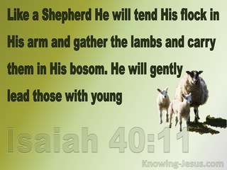 Isaiah 40:11 Like A Shepherd He Will Tend His Flock (green)